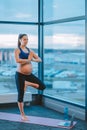 Young calm pregnant woman in tree pose during prenatal workout at gym or studio Royalty Free Stock Photo