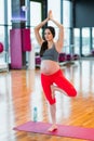 Young calm pregnant woman in tree pose during prenatal workout at gym or studio Royalty Free Stock Photo