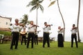 Traditional Mariachi Band serenades a wedding