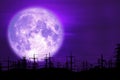 full milk moon purple back on silhouette electric pole on night sky