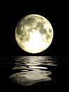 Full moon Royalty Free Stock Photo