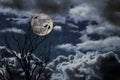 Full moon Royalty Free Stock Photo