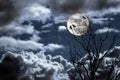 Full moon Royalty Free Stock Photo