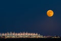 Full Moon Royalty Free Stock Photo