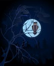 Full moon Royalty Free Stock Photo
