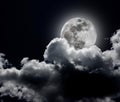 Full Moon Royalty Free Stock Photo