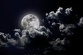 Full Moon Royalty Free Stock Photo