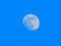 Almost full moon on afternoon blue sky Royalty Free Stock Photo