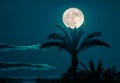 The full moon is apparently gently caught by a palm tree at night.