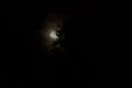 Full moon behind a silhouetted pine tree