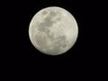 Full moon in black sky Royalty Free Stock Photo