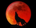 Luna lupo sangue 