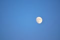 Full Moon with blue dusk sky background