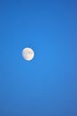 Full Moon with blue dusk sky background