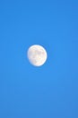 Full Moon with blue dusk sky background