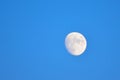 Full Moon with blue dusk sky background