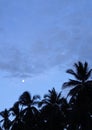 Full moon in blue sky with clouds and palm silhouettes as a background.