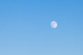 Full moon in blue sky. Royalty Free Stock Photo