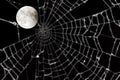 Full moon and blurred spider web Royalty Free Stock Photo