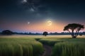 Full Moon Casting a Soft Glow Over a Tranquil Meadow: Night Scene with a Field of Tall, Whispering Grass