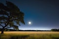 Full Moon Casting Soft Light Over a Meadow on a Clear Night: Long Grasses Gently Swaying in the Breeze