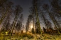 Full moon in clear sky shines over frozen Scandinavian wild forest, long exposure night photo, winter, virgin frozen landscape