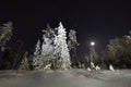 Full moon in clear sky shines over frozen Scandinavian wild forest, long exposure night photo, winter, virgin snowy landscape Royalty Free Stock Photo