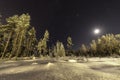 Full moon in clear sky shines over frozen Scandinavian wild forest, long exposure night photo, winter, virgin snowy landscape Royalty Free Stock Photo