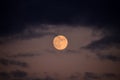 Full Moon Royalty Free Stock Photo