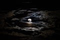 Full moon with clouds, Paschal Full Moon in April, 2023