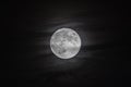 Full moon with cloudy background. Beaver Moon. Night photo with full circle moon