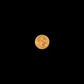 Full moon completely illuminated maximum size at clear night