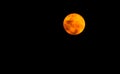 Beautiful Full moon in the dark night,moonlight on Halloween night,dark sky without the star. Royalty Free Stock Photo
