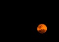 Beautiful Full moon in the dark night, moonlight on Halloween night, dark sky without the star. Royalty Free Stock Photo