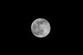 Full moon on dark sky Royalty Free Stock Photo