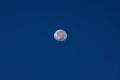 Full moon at dawn Royalty Free Stock Photo