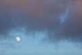 Full Moon at Daylight Royalty Free Stock Photo