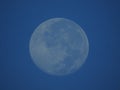 Full moon in daylight Royalty Free Stock Photo