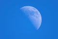 Full moon in daytime Royalty Free Stock Photo