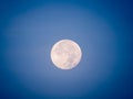 Full Moon in The Daytime Royalty Free Stock Photo