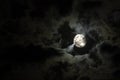 Full moon and eerie white clouds Royalty Free Stock Photo