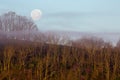 Full Moon with Fog Above The Wooded Hill