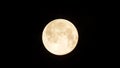 Full Moon Royalty Free Stock Photo