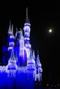 Cinderella`s Castle with icicle decorations Royalty Free Stock Photo