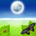 Full moon, green grass and insects Royalty Free Stock Photo