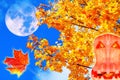 Full Moon and halloween pumpkin collage of colourful autumn leaves on maple trees on the background of blue sky Royalty Free Stock Photo