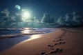 Full Moon Illuminating Beach With Footprints in Sand, A serene moonlit beach with a coupleÃ¢â¬â¢s footprints leading to