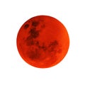 Full moon isolated. Royalty Free Stock Photo