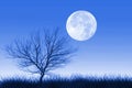 Full moon and lonely tree Royalty Free Stock Photo