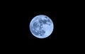 Full moon Royalty Free Stock Photo